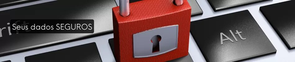 Seus Dados Seguros